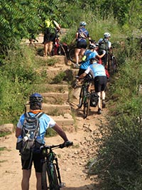 Bike Trail
